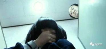 国产女厕,探索女性空间与生活品质的融合之道